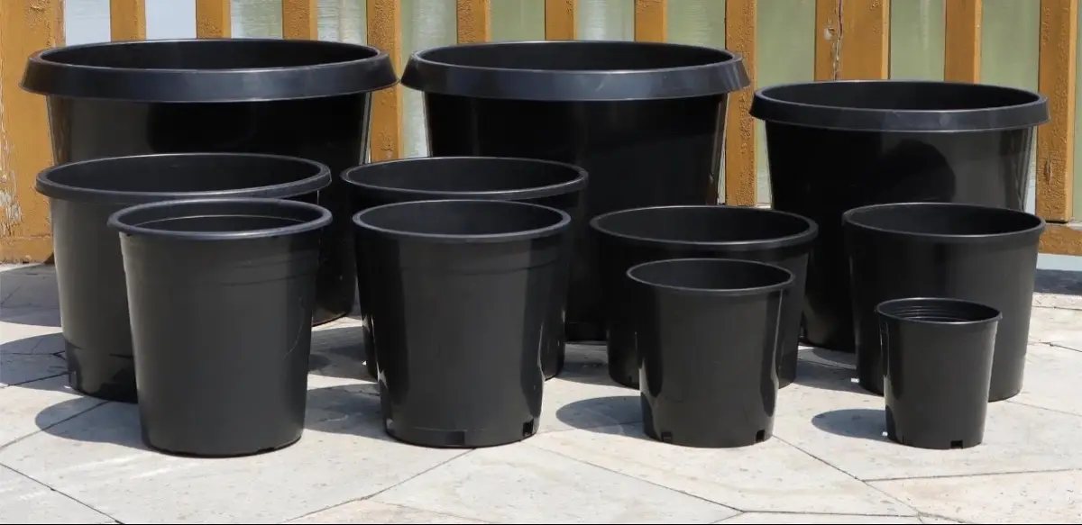 The full family of Emdad pot sizes lined up together